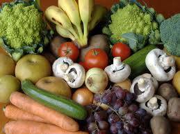 Profile for Organic farming & climate change
