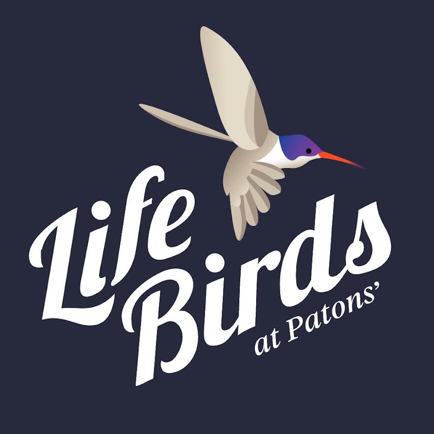 Tucson Bird Alliance's Paton Center for Hummingbirds | Patagonia AZ