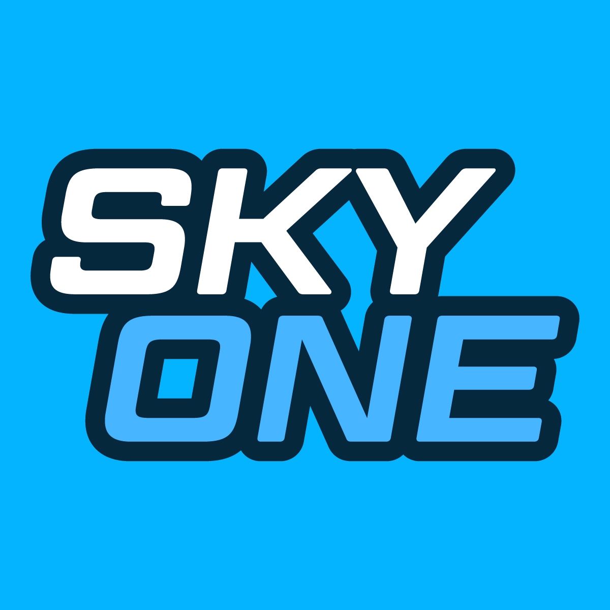 Skyone