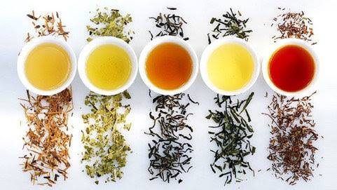 Healthy Living Teas | Miami FL