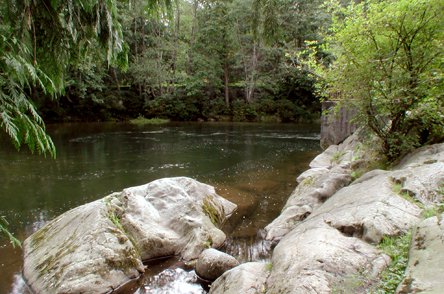 Davidson's Pool | Maple Ridge BC