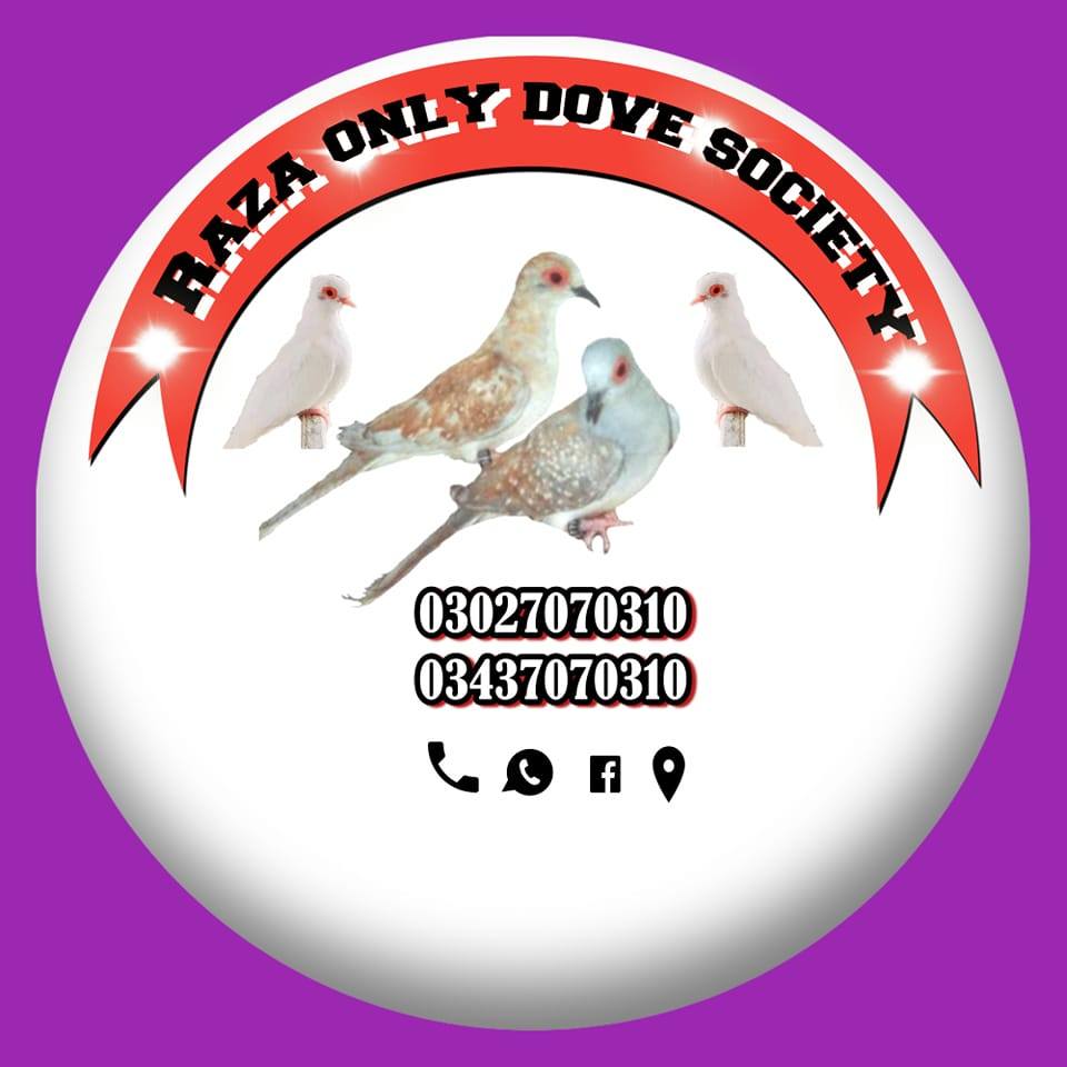 Raza Birds