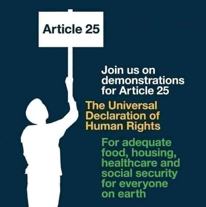 Invoking Article 25