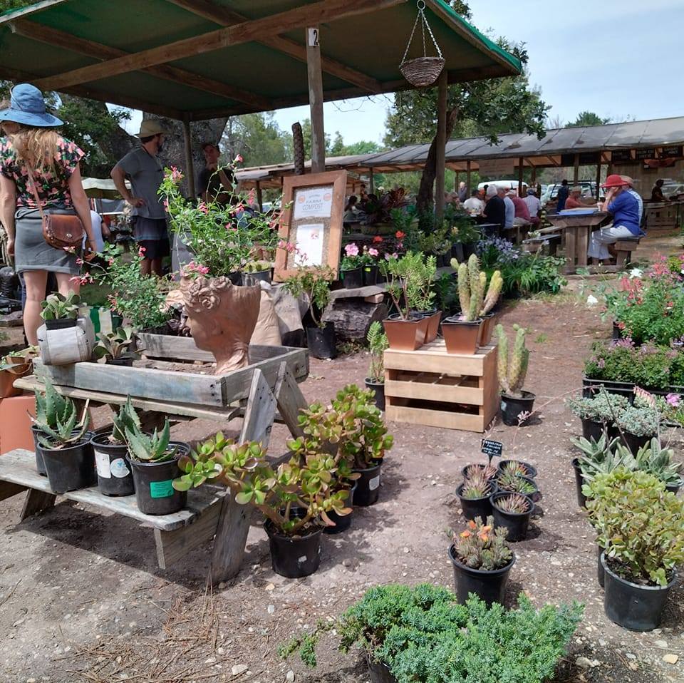 harkerville-saturday-market-plettenberg-bay