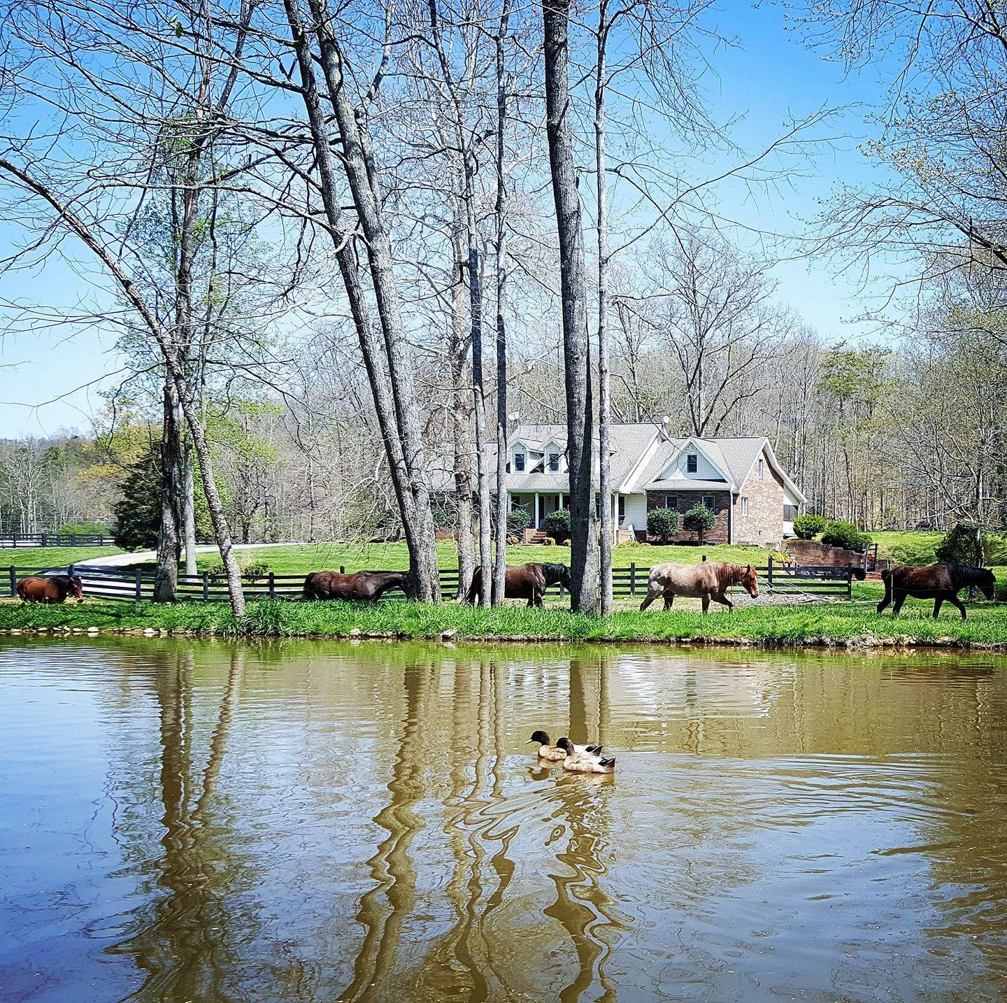 White Fork Ranch | Bluff City TN