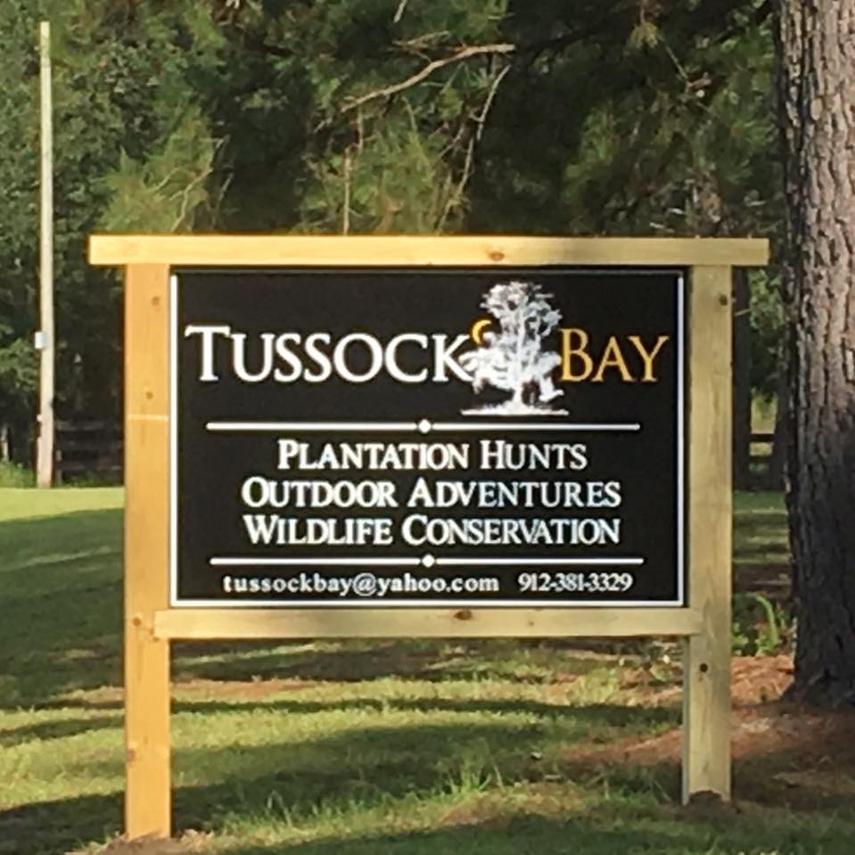 Tussock Bay | Axson GA
