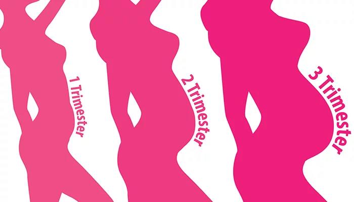 Tout savoir sur la grossesse