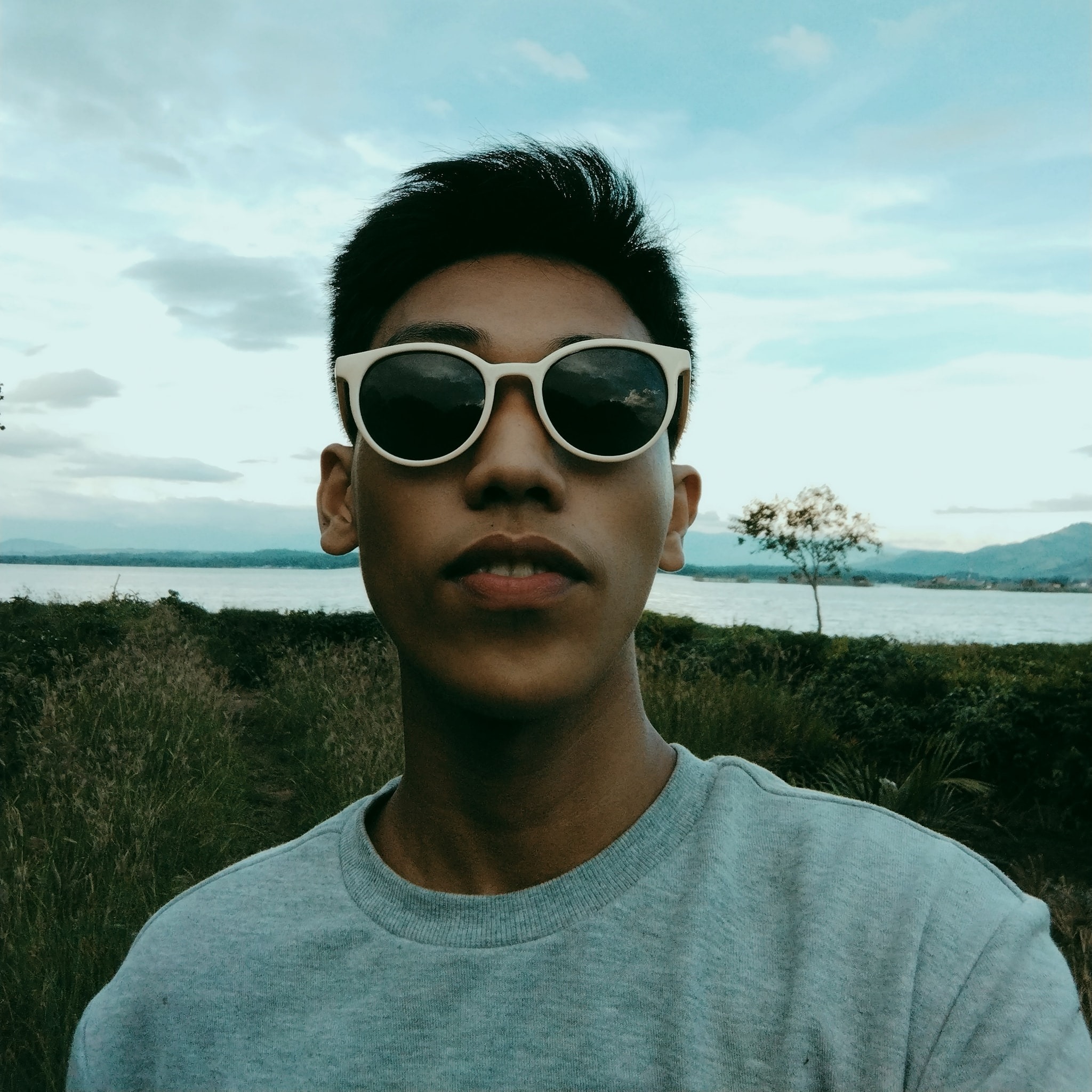 Zachscapes