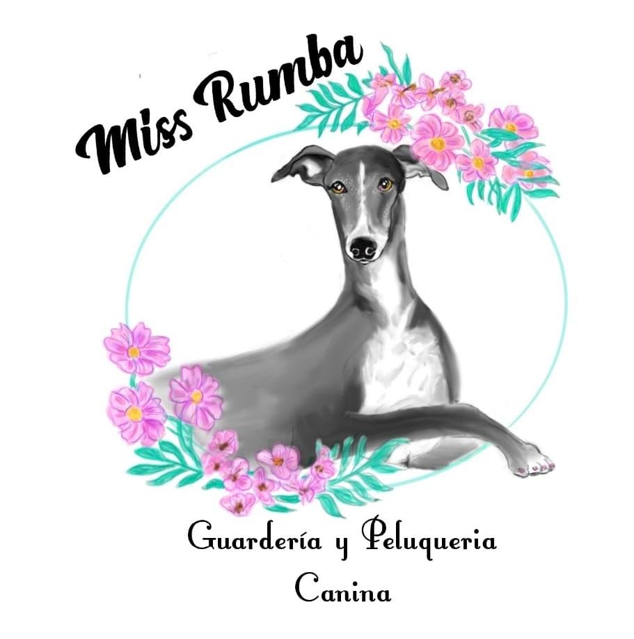 Miss Rumba Guardería y Peluquería Canina | Talavera de la Reina