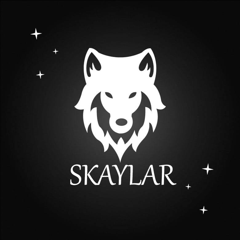 Skaylar GAMES is on Facebook Gaming