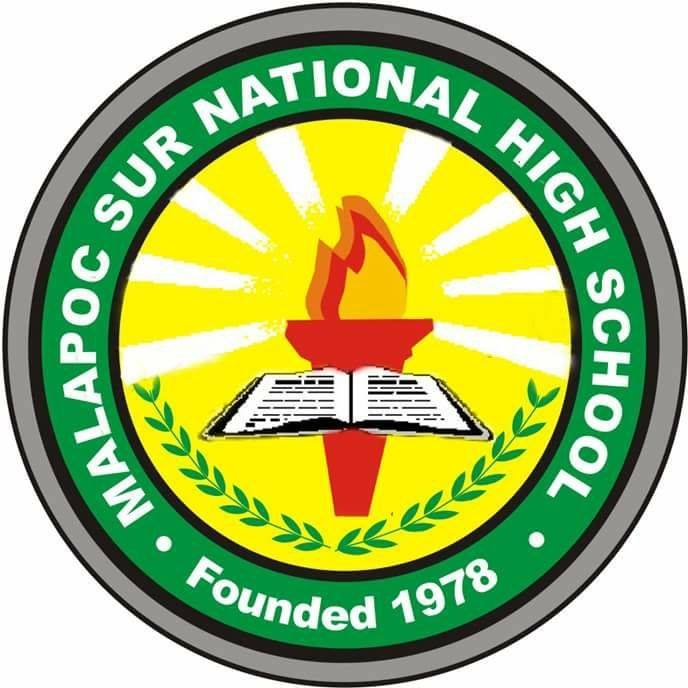 The MSNHS Alumni | Maasin