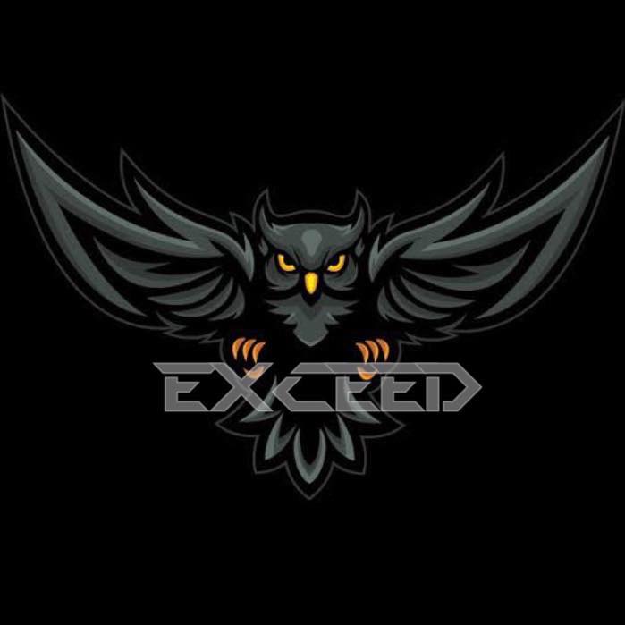 Exceed//Gaming