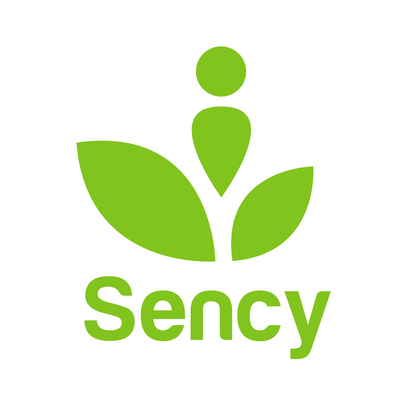 SENCY Informal Organization