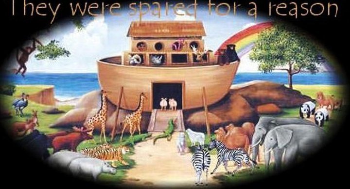 Ark Angels Wildlife Rescue, Inc | Tavernier FL