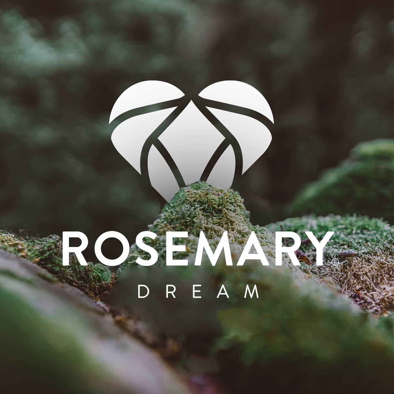 Rosemary Dream | Hostel & Coliving 5