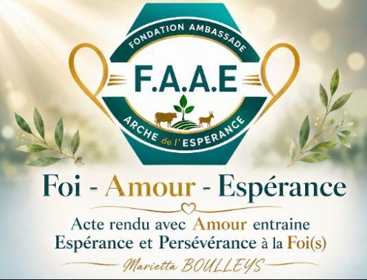 « Fondation Ambassade Arche de l'Espérance » Ong FAAE | Bangui