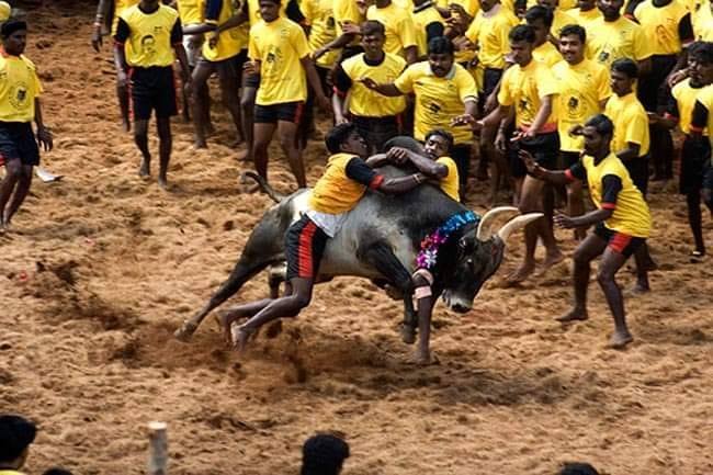 தமிழ் பசங்க