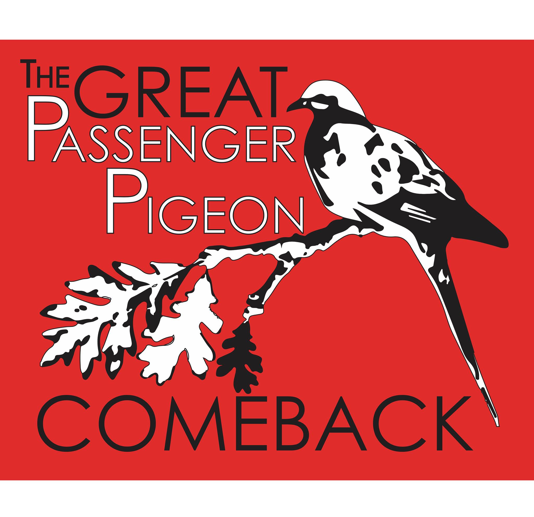 Passenger Pigeon One Man's Passion For The Passenger Pigeon | Living