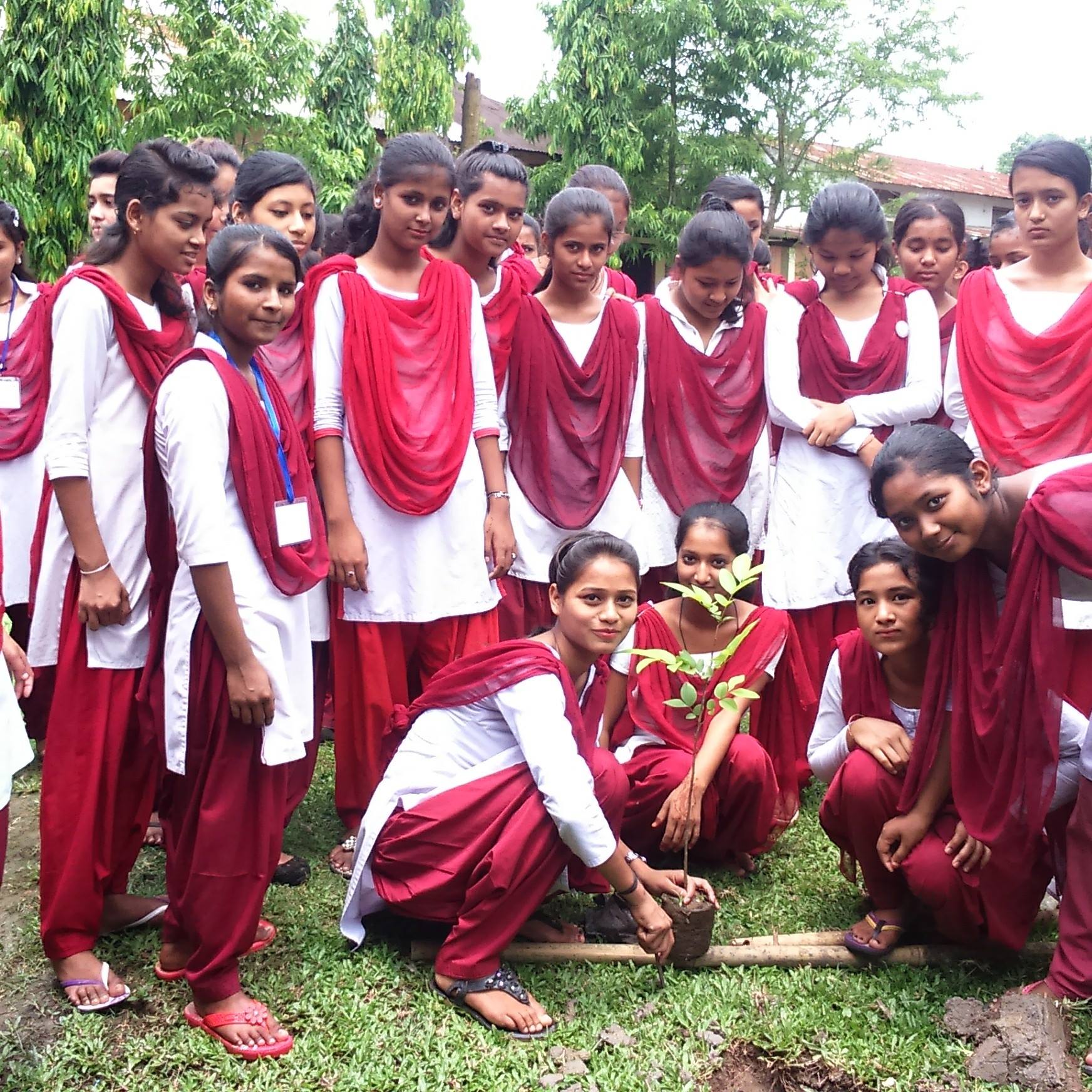 Rongpur Girls' High School,Rongghar chari Ali,Sivasagar