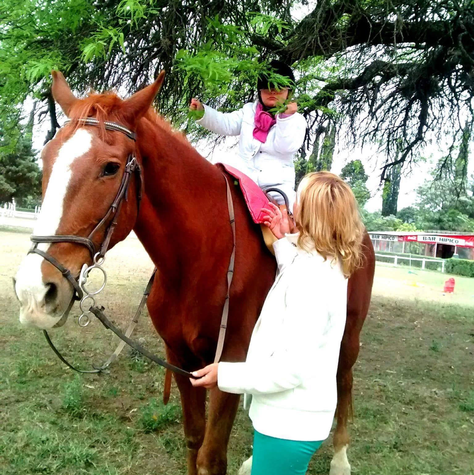 Escuela de Equitación Jockey Club - Equinoterapia Salta