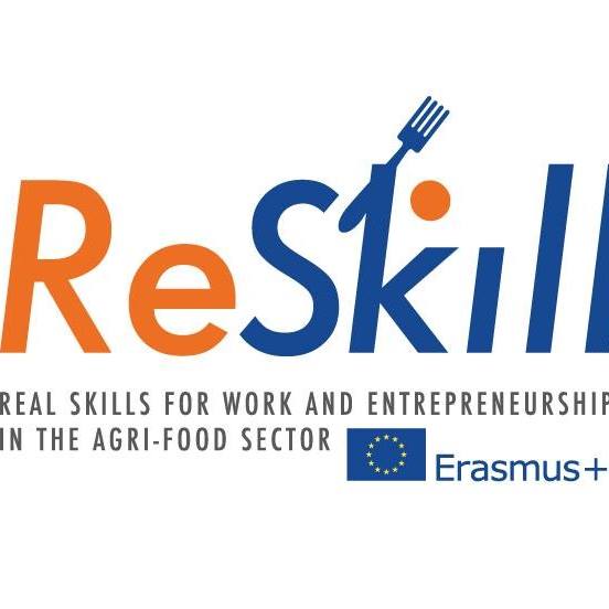Reskill Project