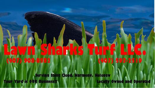 Lawn Sharks Turf LLC | Saint Cloud FL