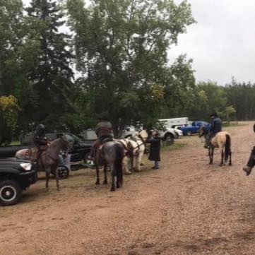 Rimbey Sleigh, Wagon and Saddle Club | Rimbey AB