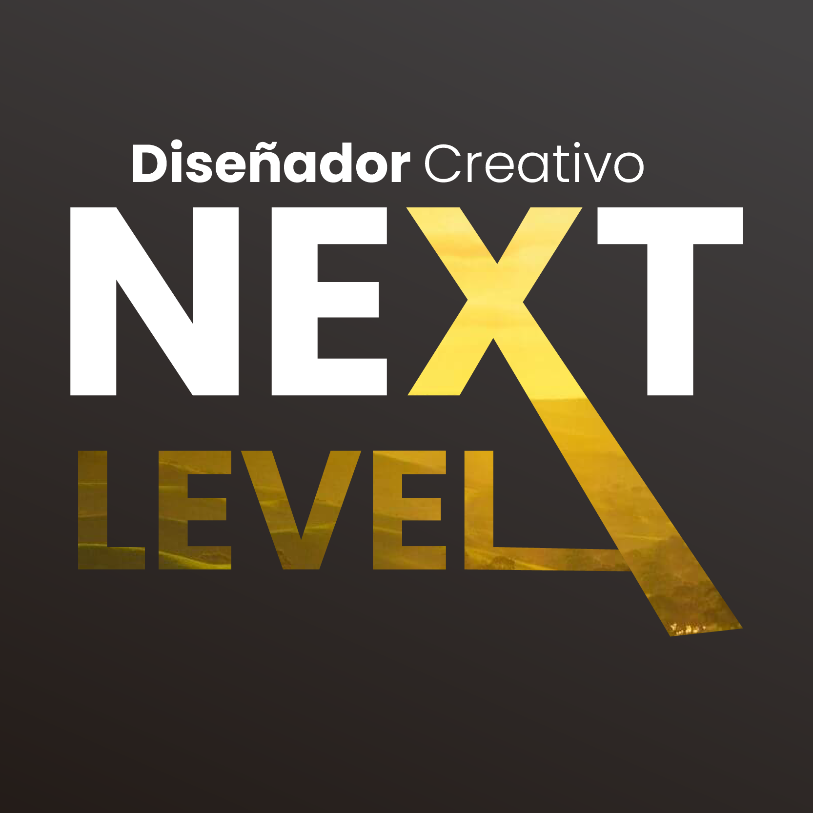 Next Level Diseñador Creativo-SC | Santa Cruz de la Sierra