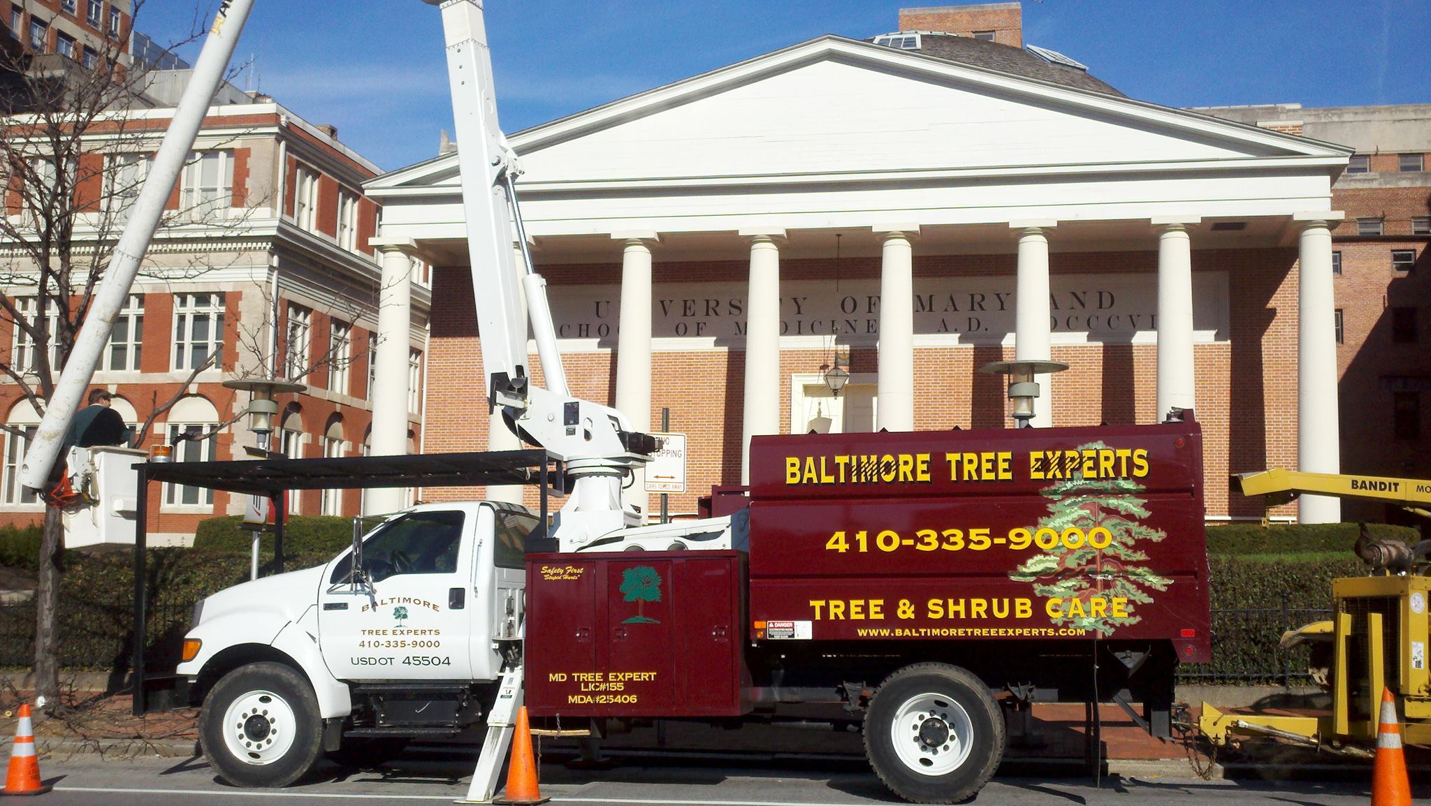 Baltimore Tree Experts | Baltimore MD