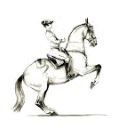 Livre « L'Équitation Supérieure Moderne » Par A. Bastiani - Édition 1964 - Bon état