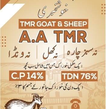 Al Aziz traders