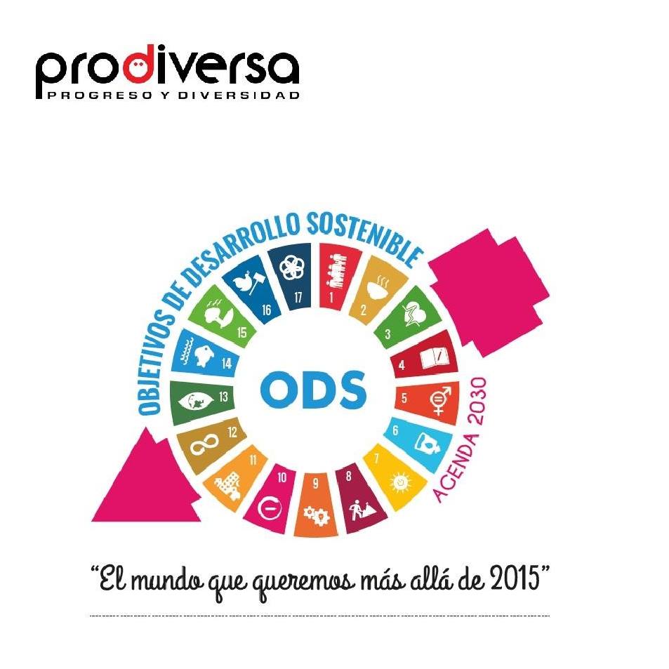 Educación para el Desarrollo y Ciudadanía "Glocal" de Prodiversa