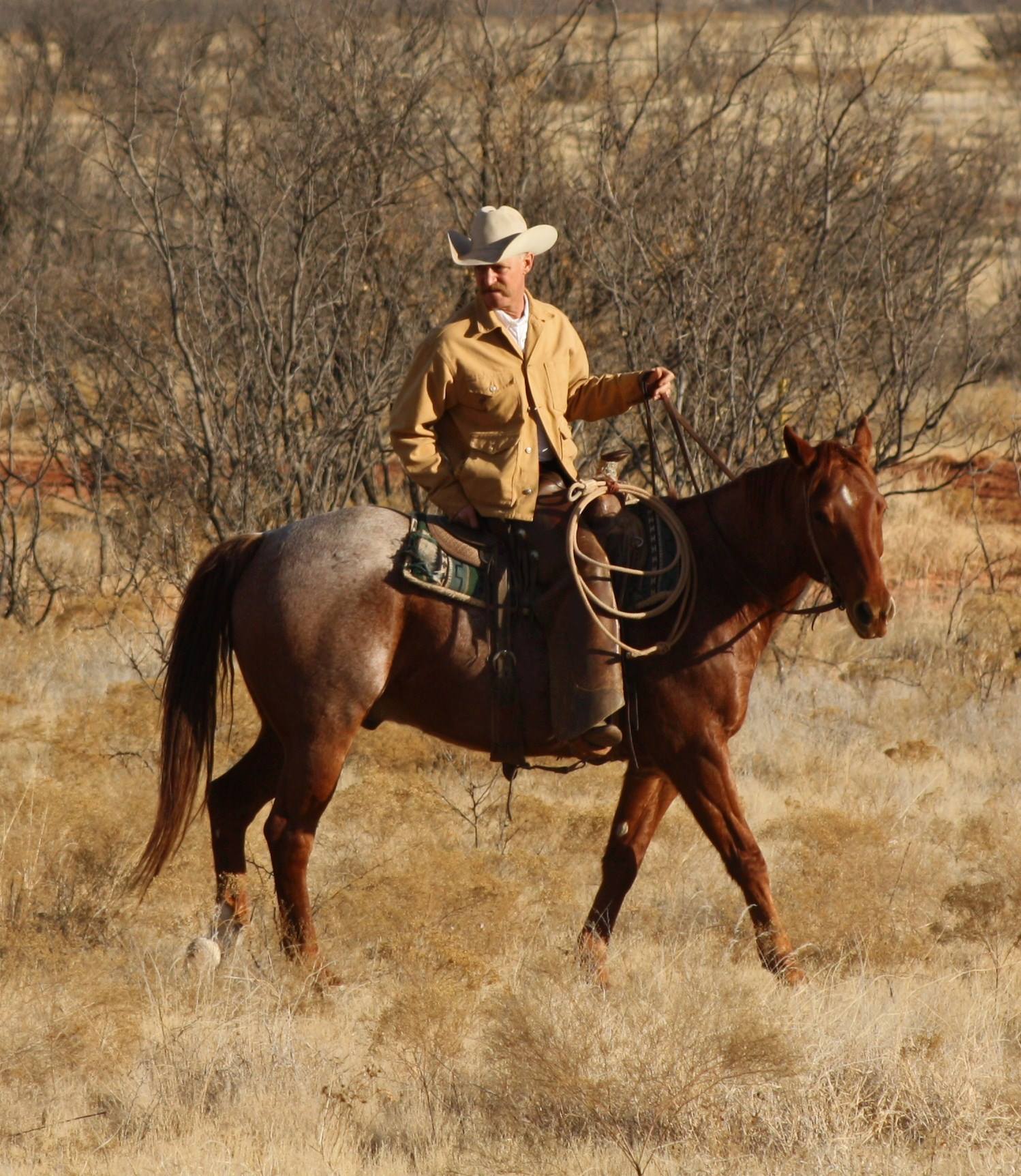 Brian Asher Cowboy Artist - 