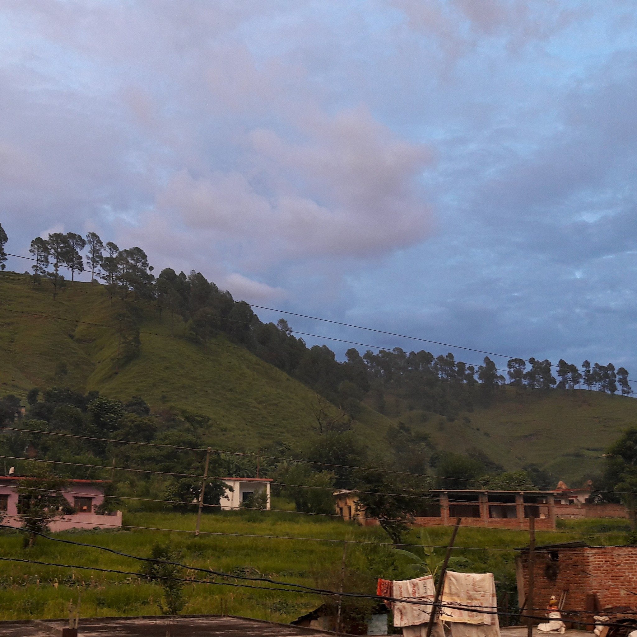 Muwani