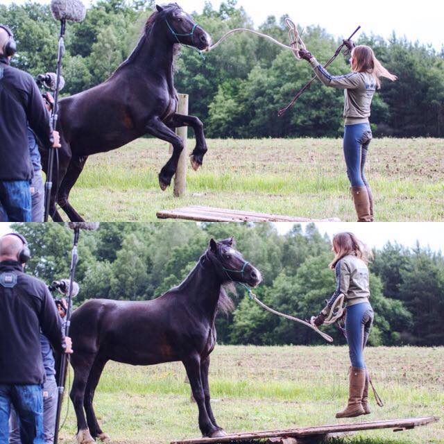 Gerking Horsemanship - Gut Friedrichsleben