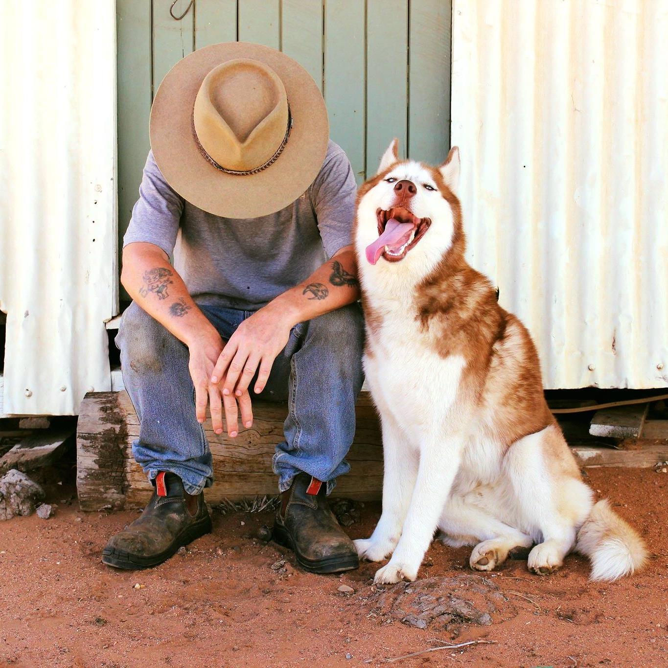 Outback Dog Training Page