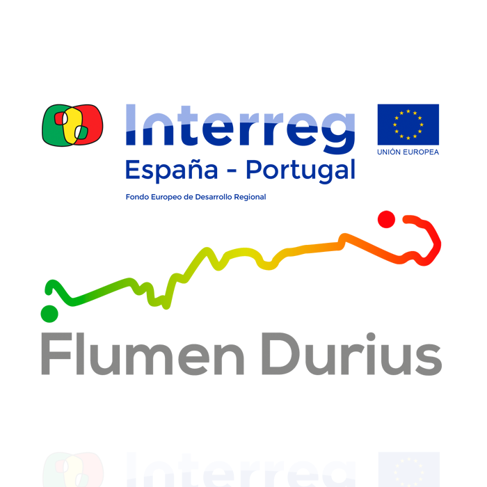 Flumen Durius