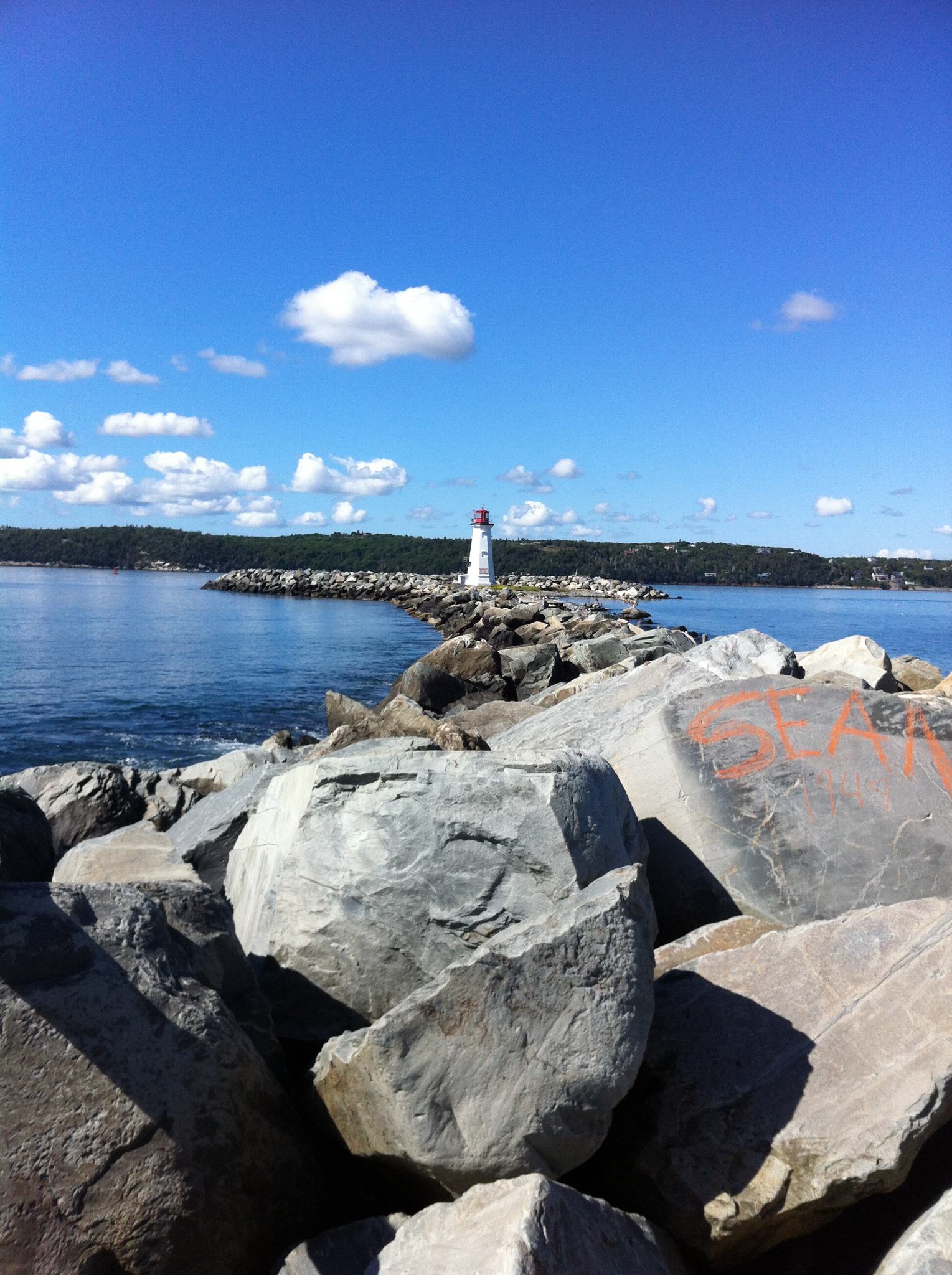 Invasive Insects in Nova Scotia