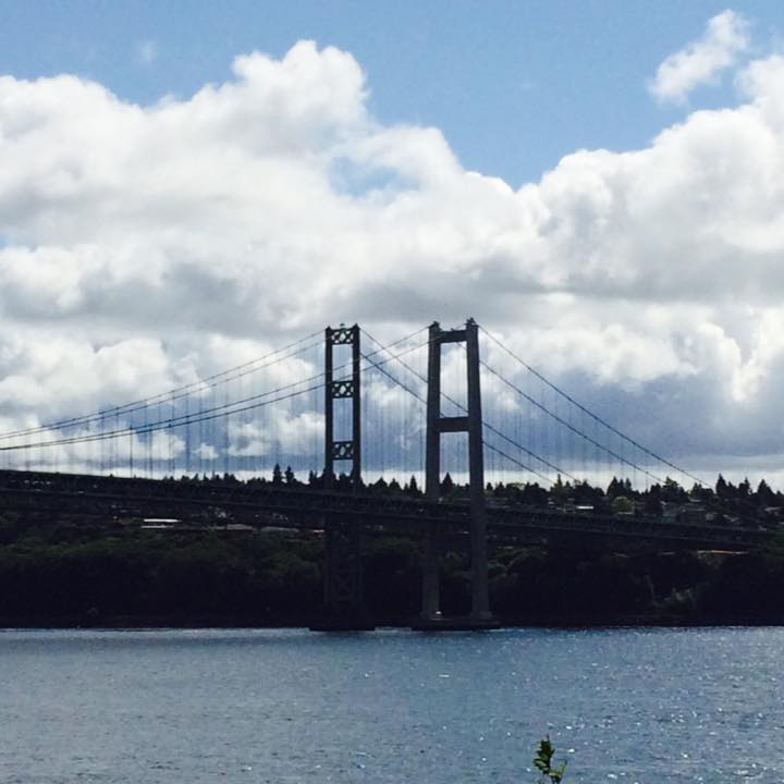 Point Defiance Orca Group | Tacoma WA