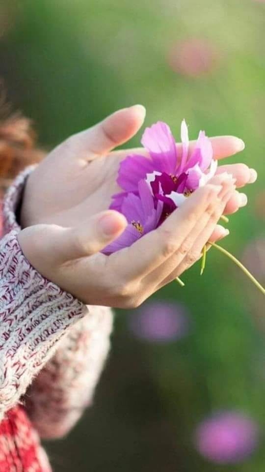 اجنبی لوگوں کی خوبصورت دنیا