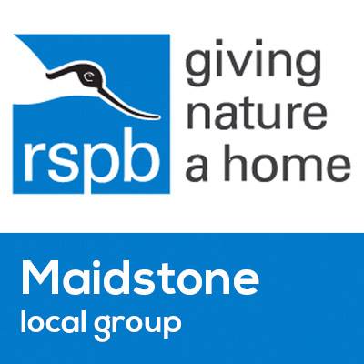 Allington Wildlife Group | Went for a stroll around Vinters Valley ...