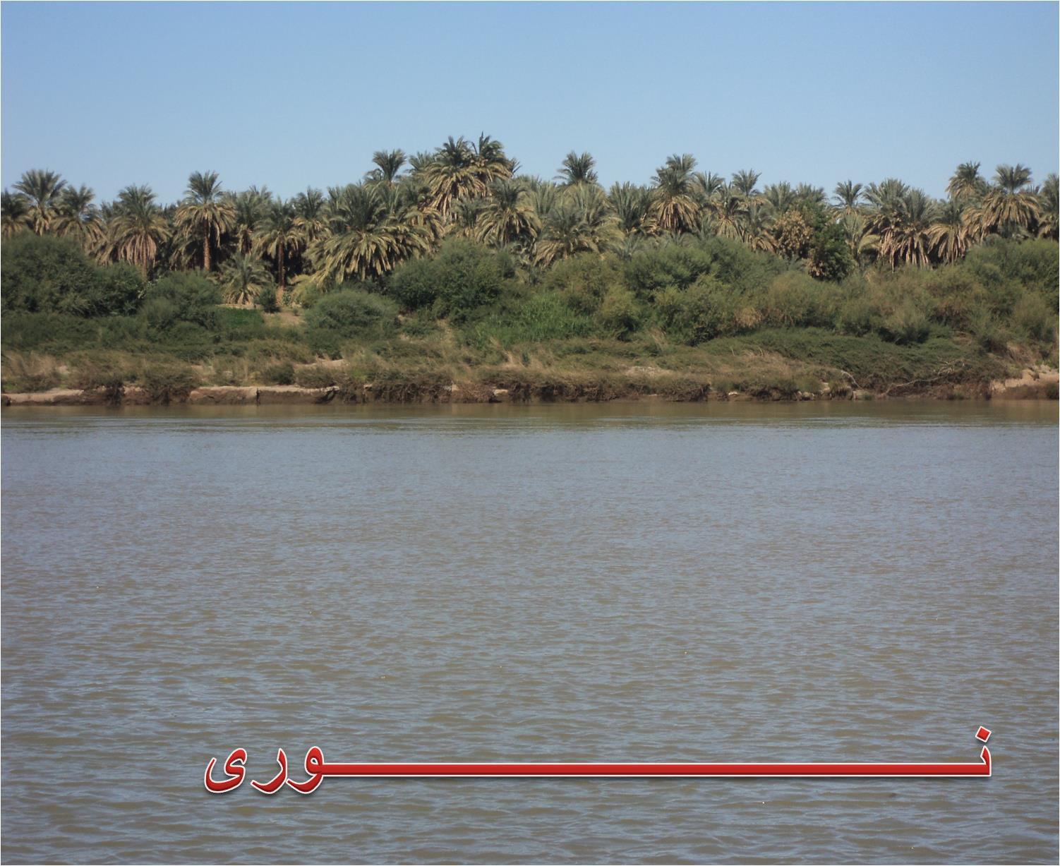 آل حاج نور