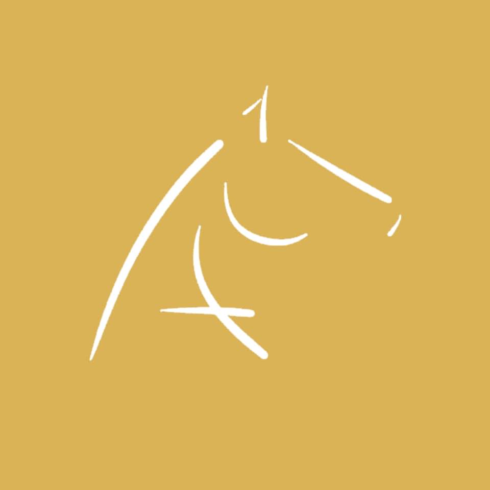 Equitation Ethologique La Charbonnière | Rosoy
