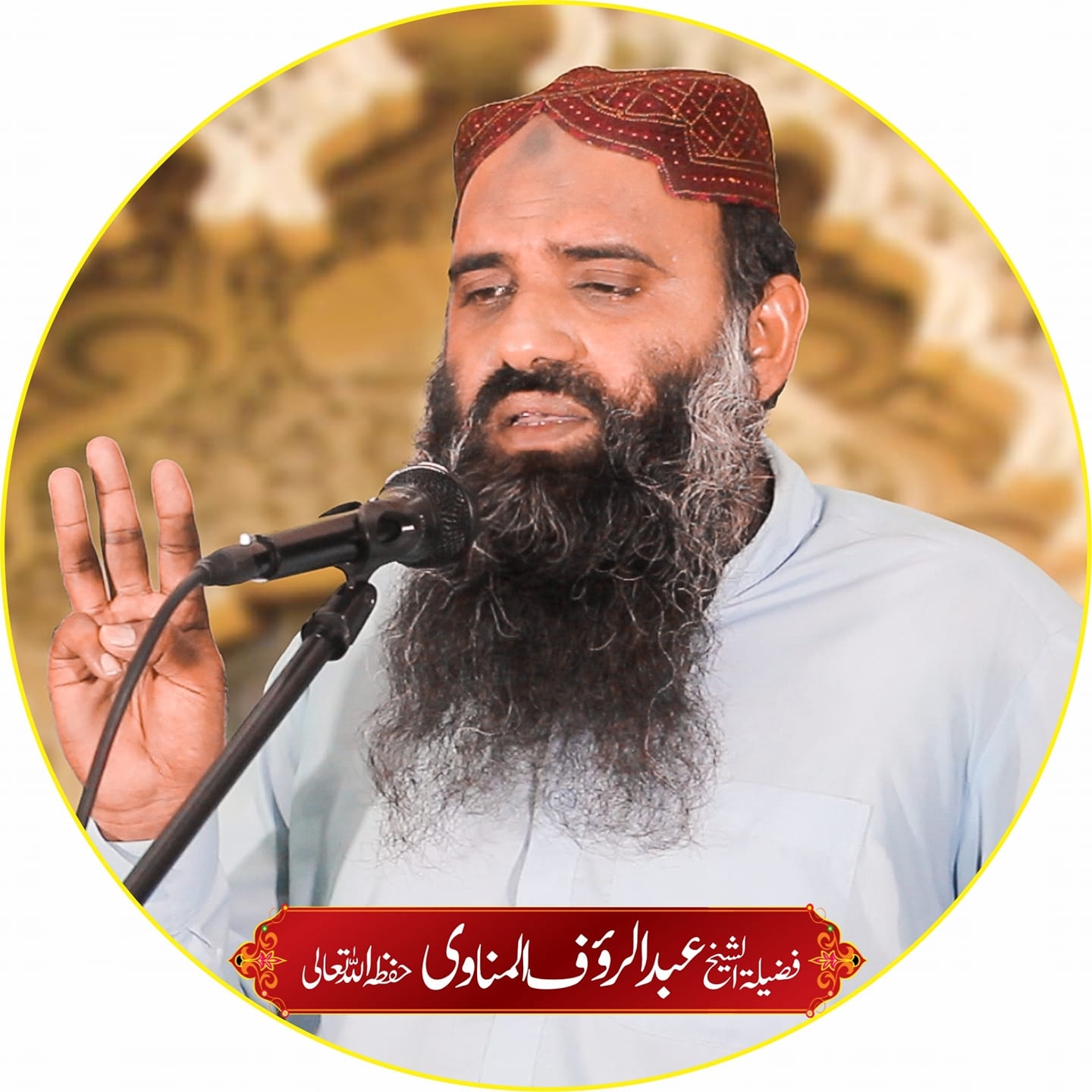 Hafiz Abdul Raoof Al Manavi