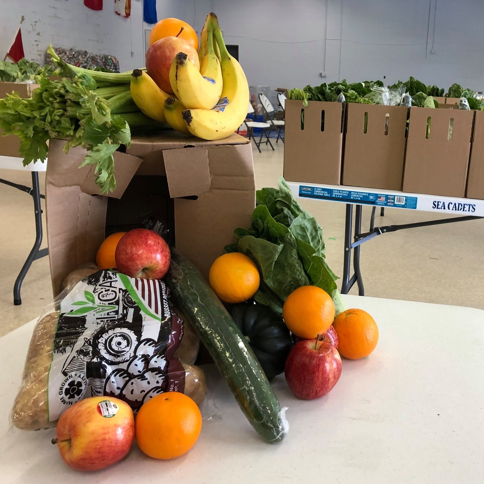 Strathcona Good Food Box Program: Campbell River