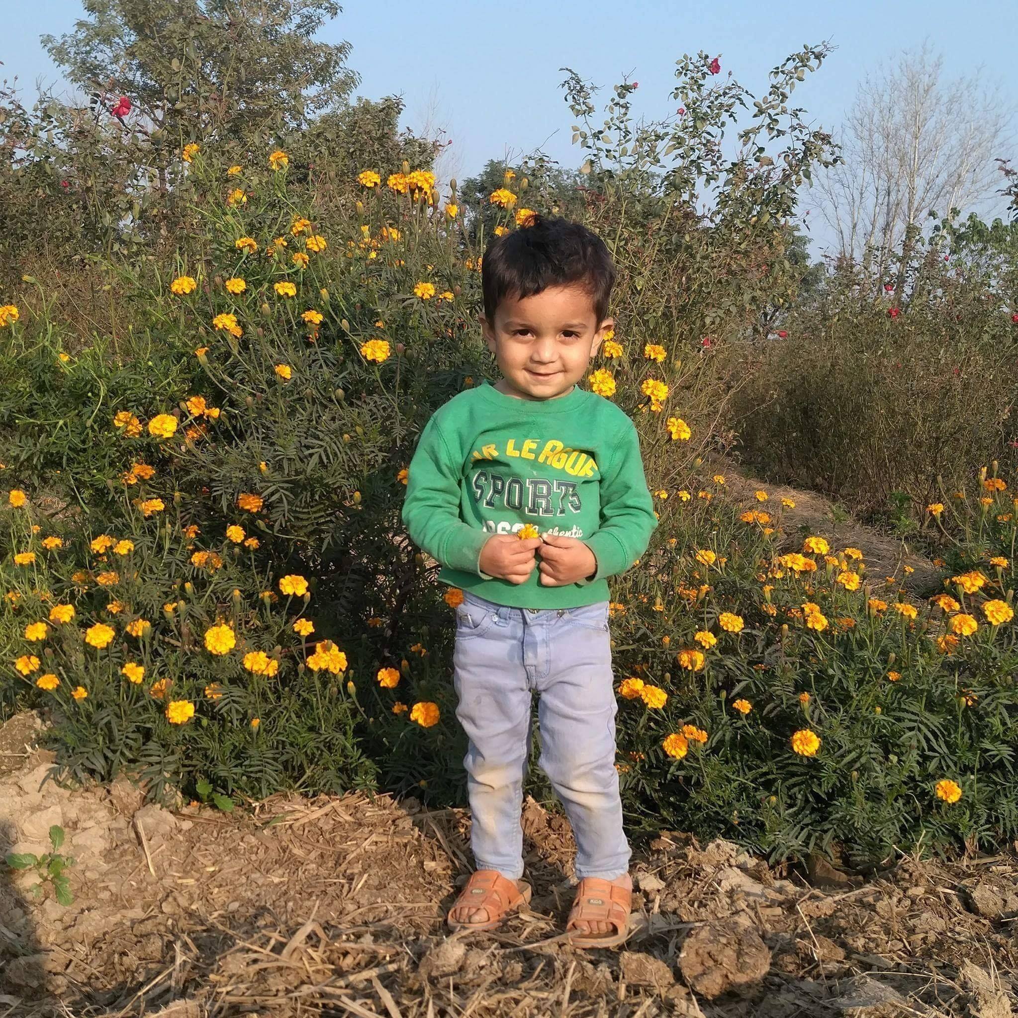Amir Mayo Rajpoot | Lahore
