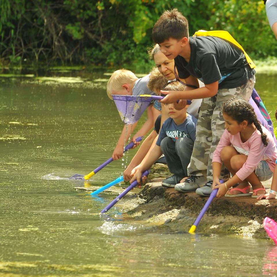 Fall is a great time to explore nature as many of our native ...