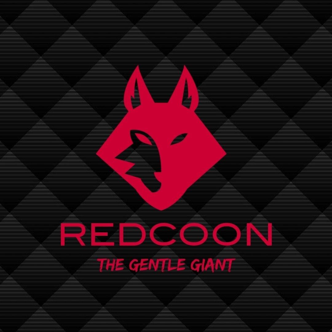 Redcoon Maine Coon Cattery... - Redcoon Maine Coon Cattery