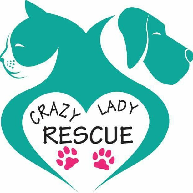 Do we have a foster who is available... - Crazy Lady Rescue | Facebook