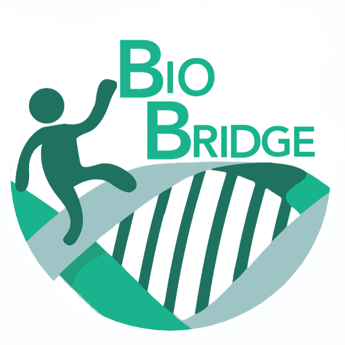 The Bio Bridge